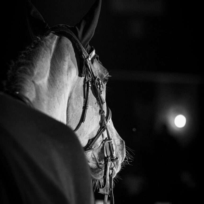 Audrey_Mouton_photo_cheval_4