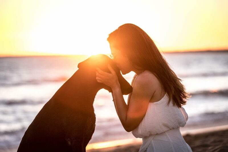 Audrey_Mouton_photo_chien_8